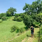 Seehaus Beija-flor - Bodensee-radweg & -badeufer Nyaraló Öhningen